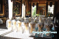 Designer Chair Covers To Go 1078447 Image 4